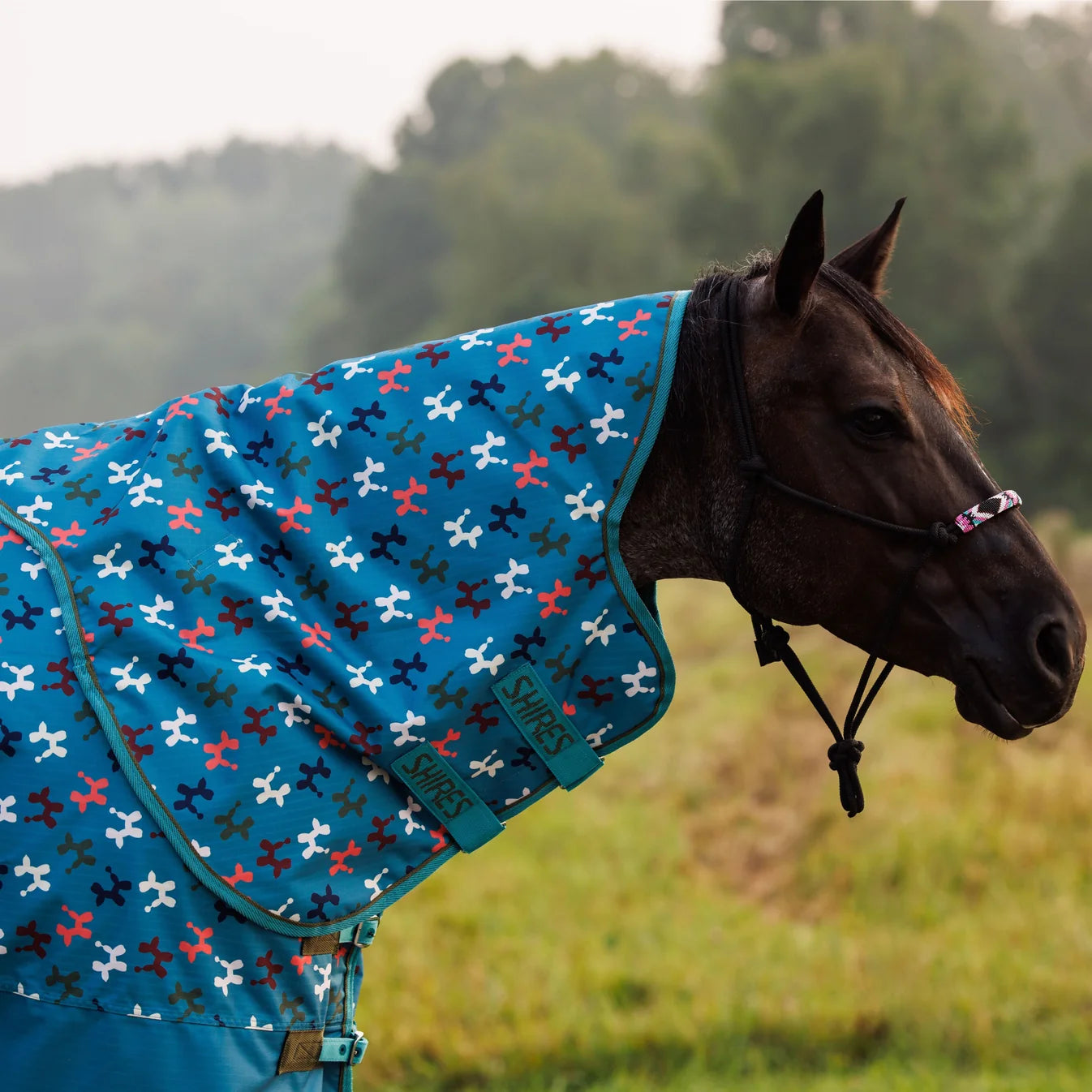 Tempest Lite Neck Cover - Seasonal Patterns