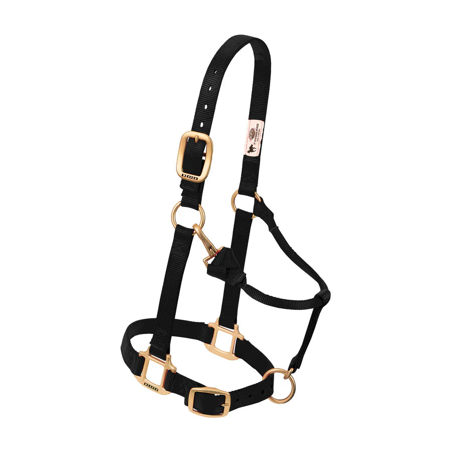 1" Nylon Adjustable Halter