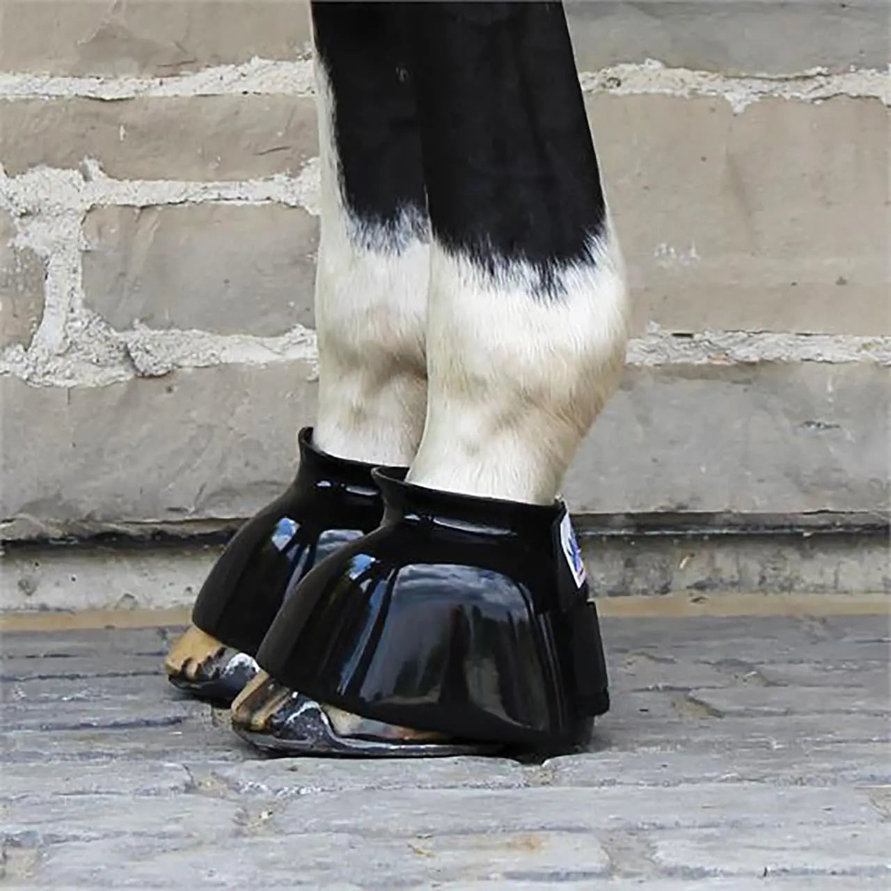 Davis Regular Bell Boots - Equine Exchange Tack Shop