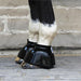 Davis Regular Bell Boots - Equine Exchange Tack Shop