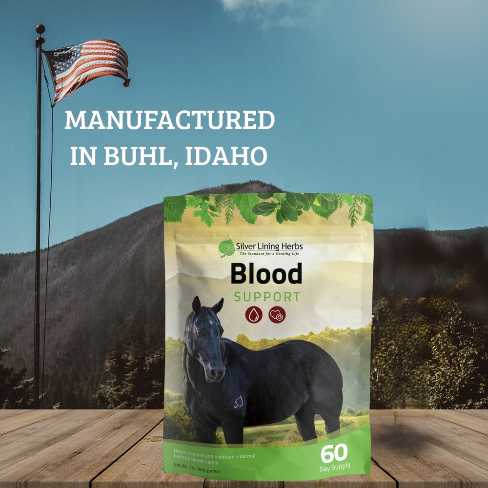 Blood Support for Horses - Equine Exchange Tack Shop