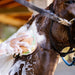 Blue Ribbon Burger Bath Sponge - Equine Exchange Tack Shop