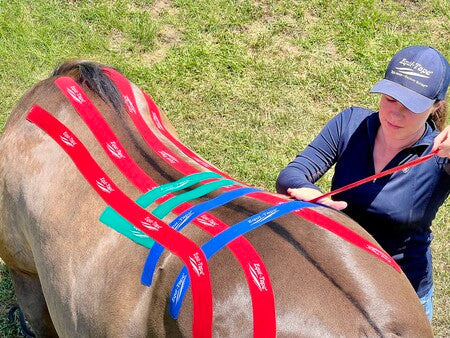 Equi-Tape® Fundamentals Course & Module Bundle - Equine Exchange Tack Shop