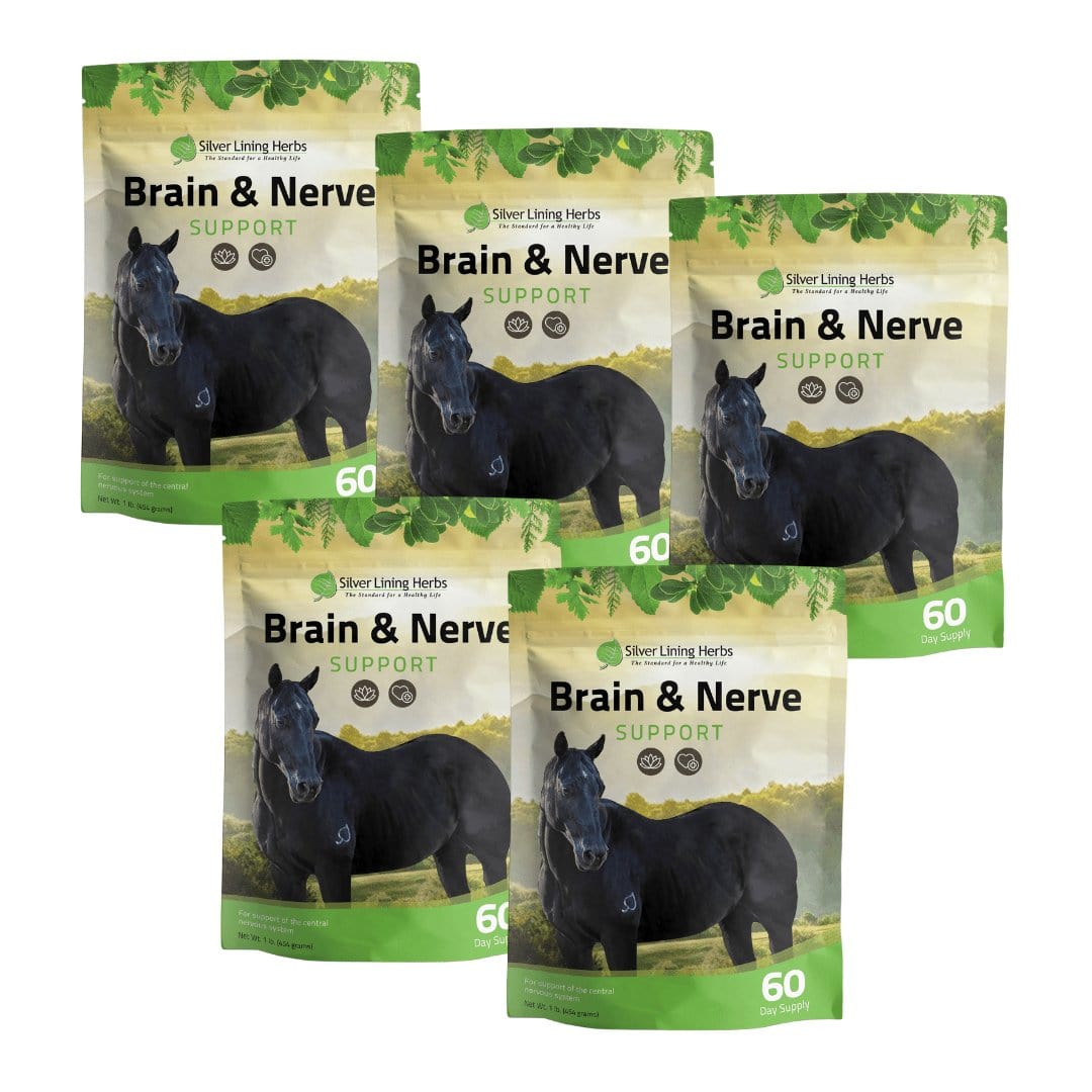 Brain & Nerve Support for Horses - Equine Exchange Tack Shop