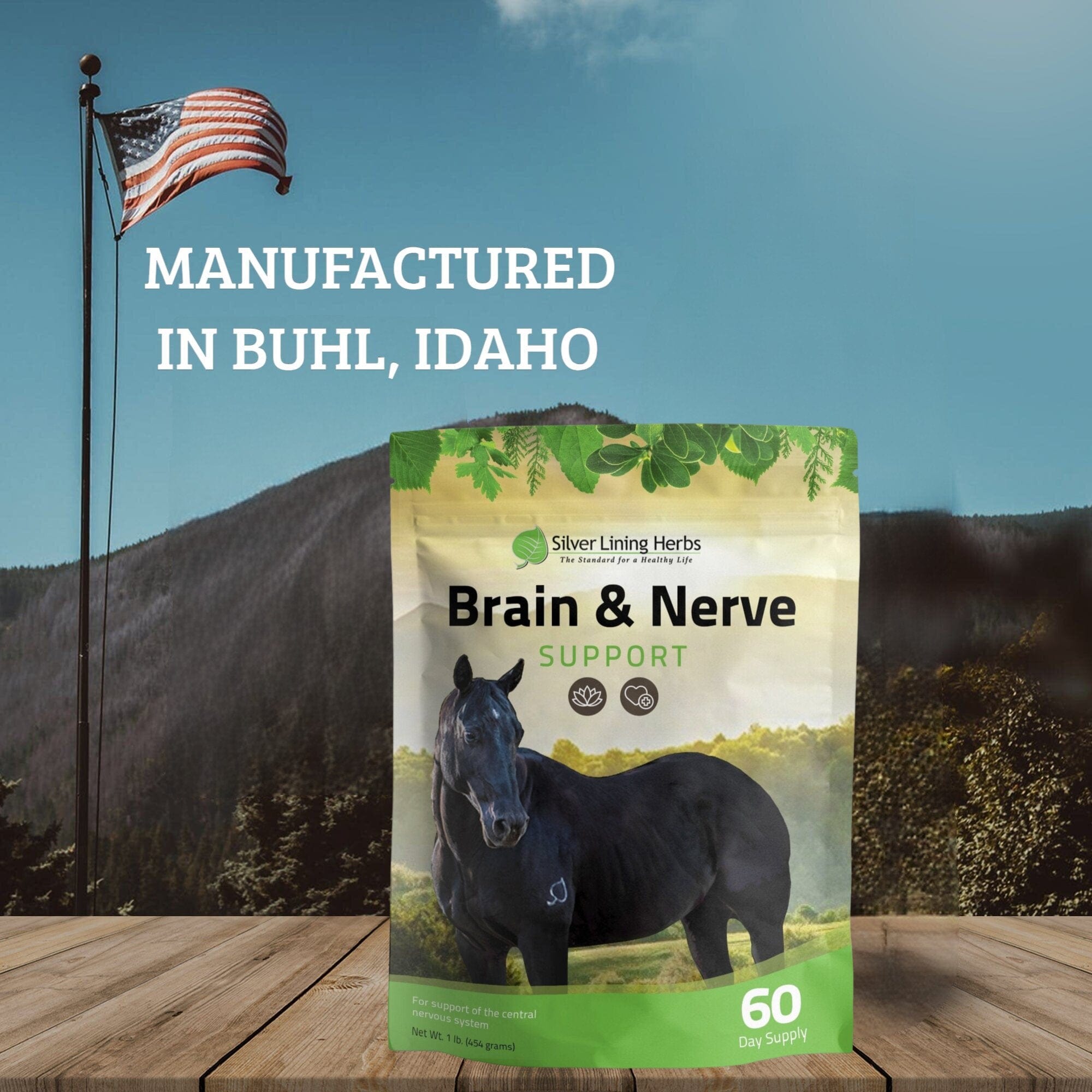 Brain & Nerve Support for Horses - Equine Exchange Tack Shop