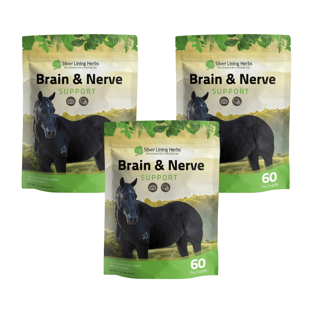 Brain & Nerve Support for Horses - Equine Exchange Tack Shop