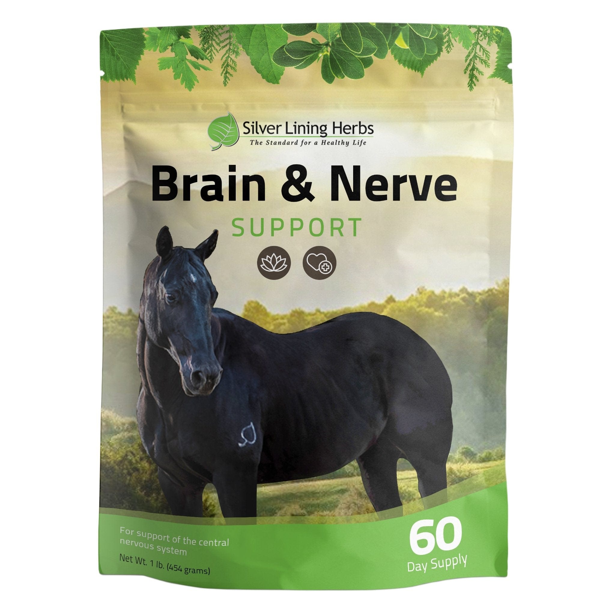 Brain & Nerve Support for Horses - Equine Exchange Tack Shop
