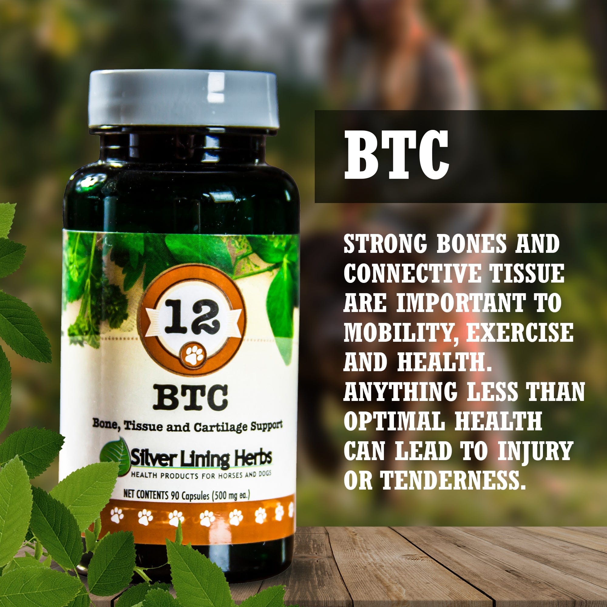 BTC Bone Tissue and Cartilage Support - Equine Exchange Tack Shop