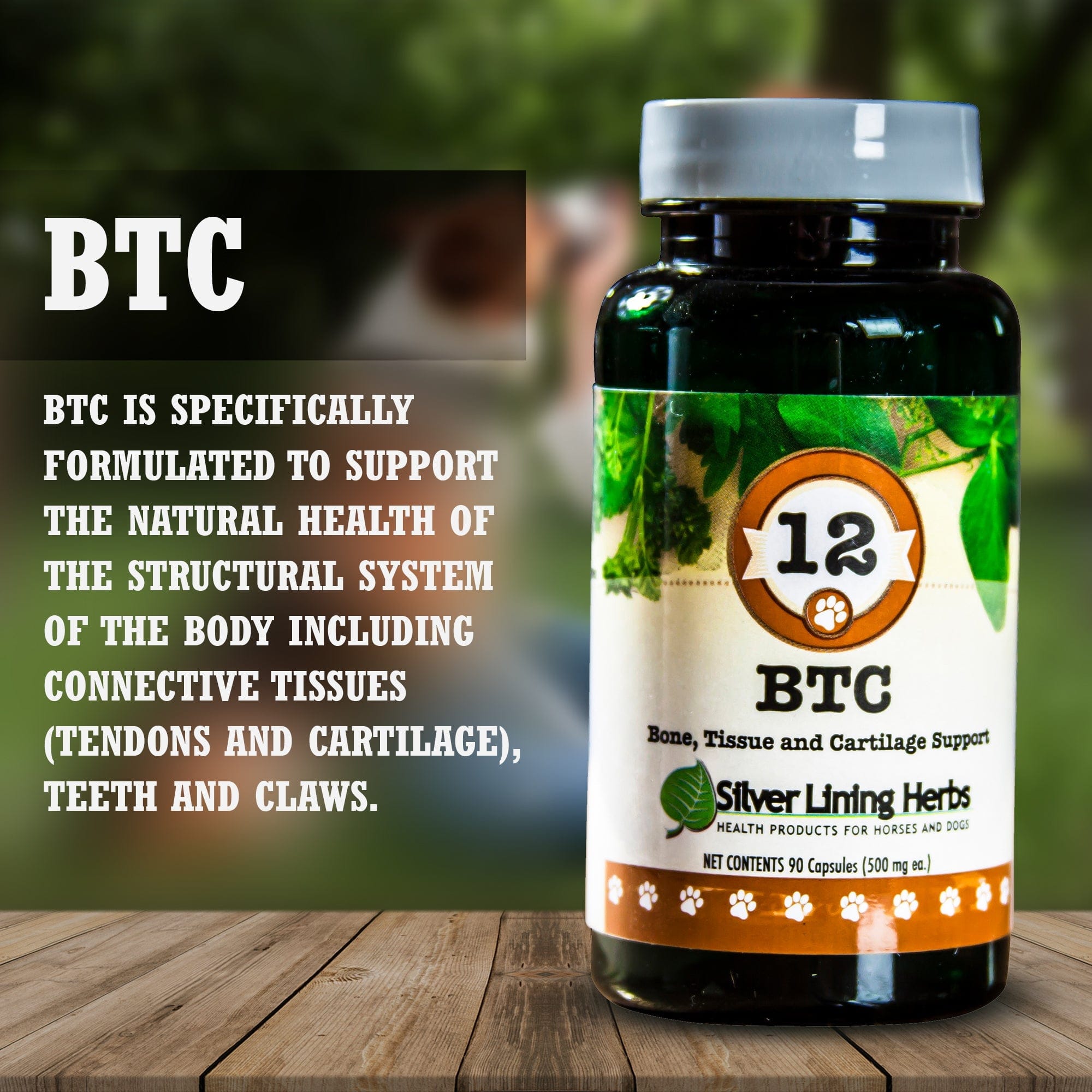 BTC Bone Tissue and Cartilage Support - Equine Exchange Tack Shop