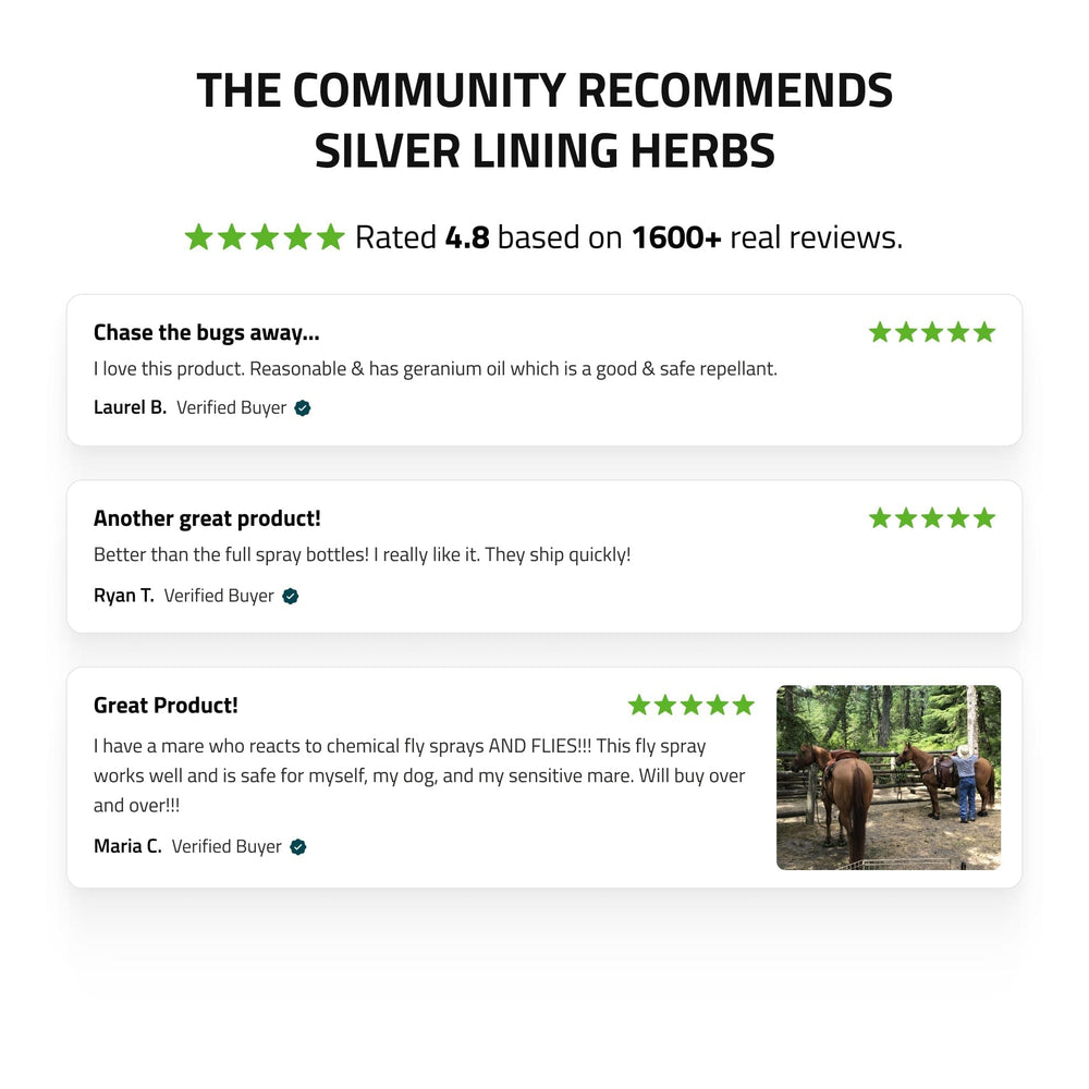 Bug Repel - Equine Exchange Tack Shop