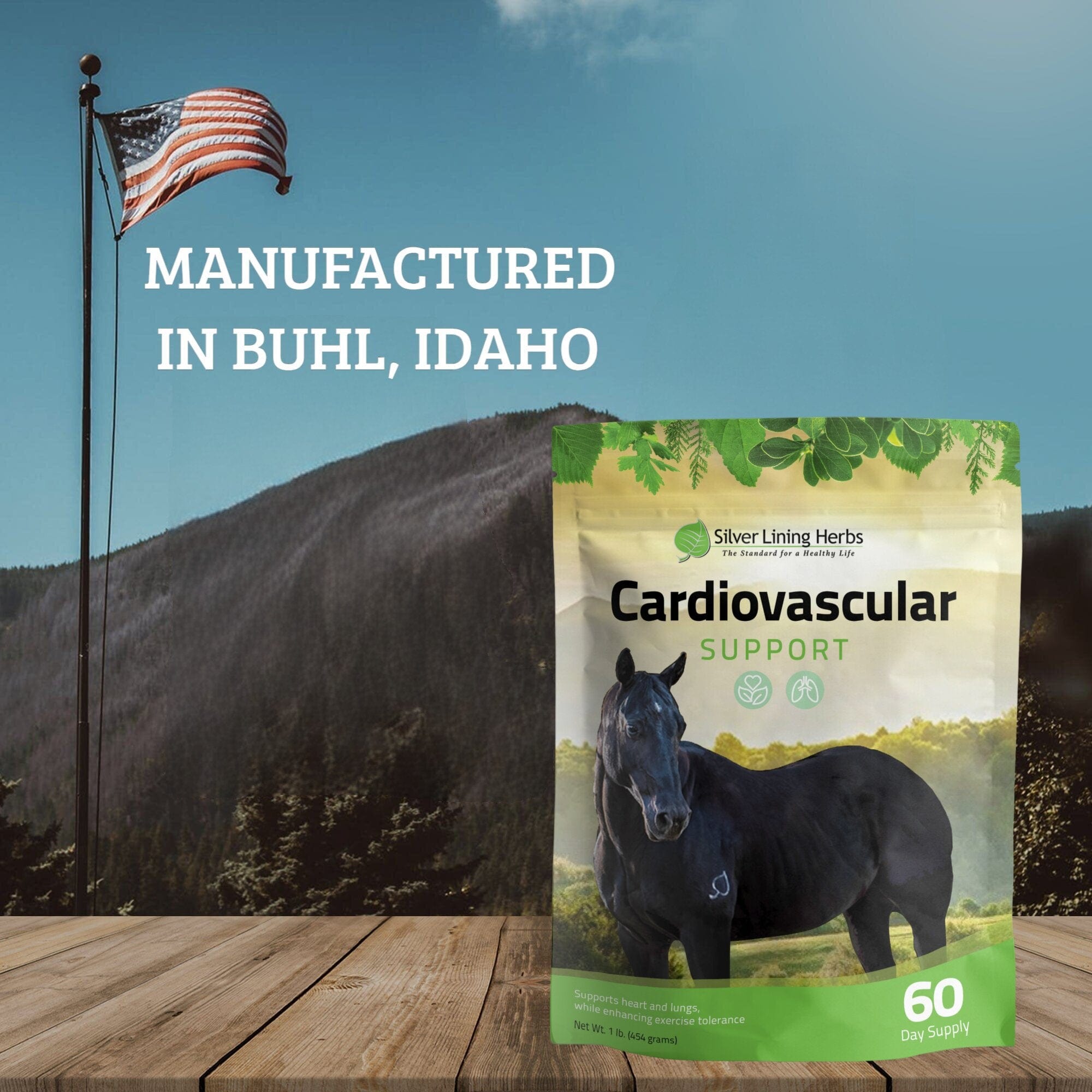 Cardiovascular Support for Horses - Equine Exchange Tack Shop