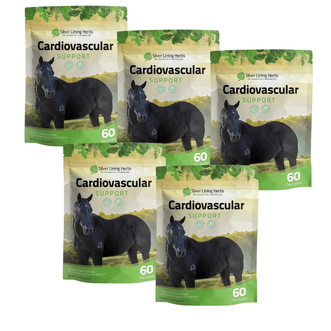Cardiovascular Support for Horses - Equine Exchange Tack Shop