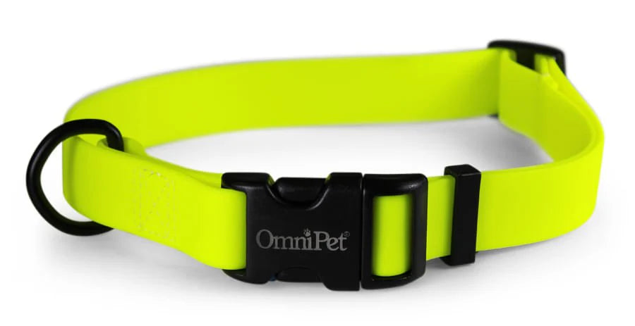 OmniPet Carnival Waterproof Dog Collar