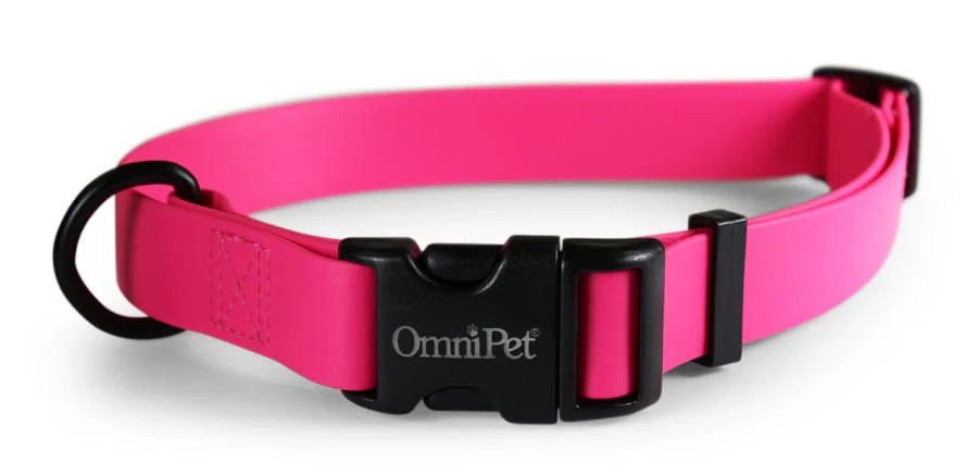 OmniPet Carnival Waterproof Dog Collar