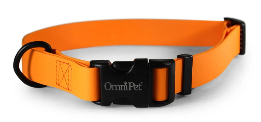 OmniPet Carnival Waterproof Dog Collar