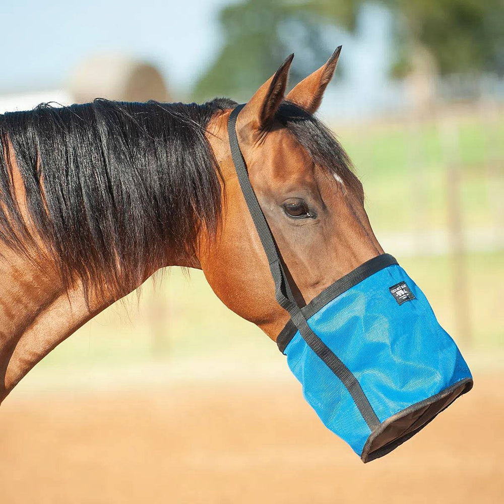 Cashel Feed Rite Bag - Equine Exchange Tack Shop