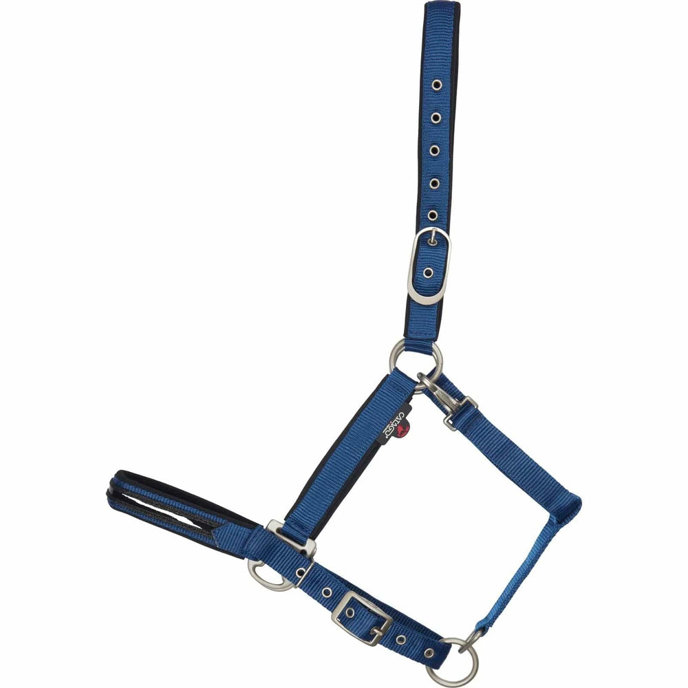 Catago Attitude Halter - Equine Exchange Tack Shop