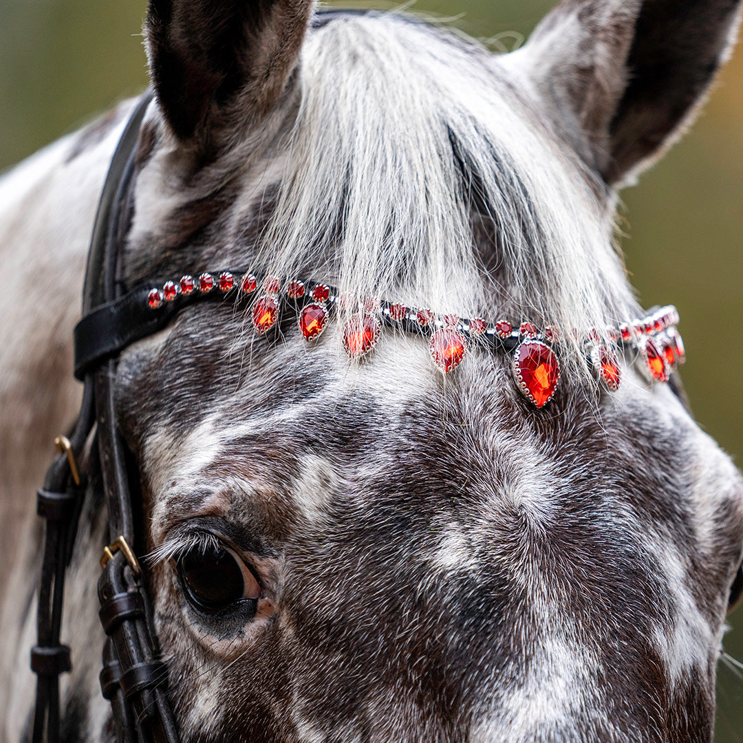 Scarlet Red Browband - Equine Exchange Tack Shop
