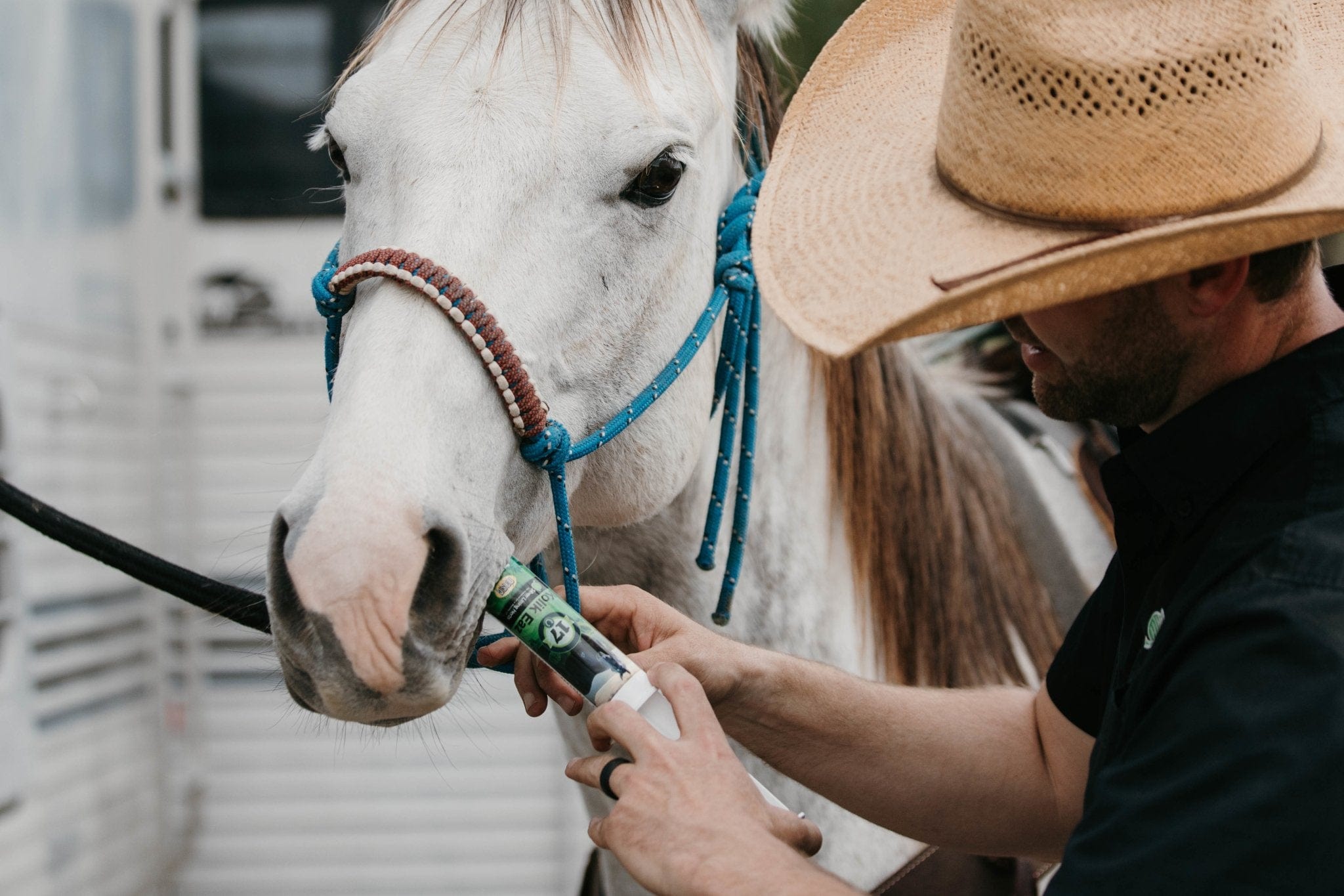 Colic Eaz for Horses  