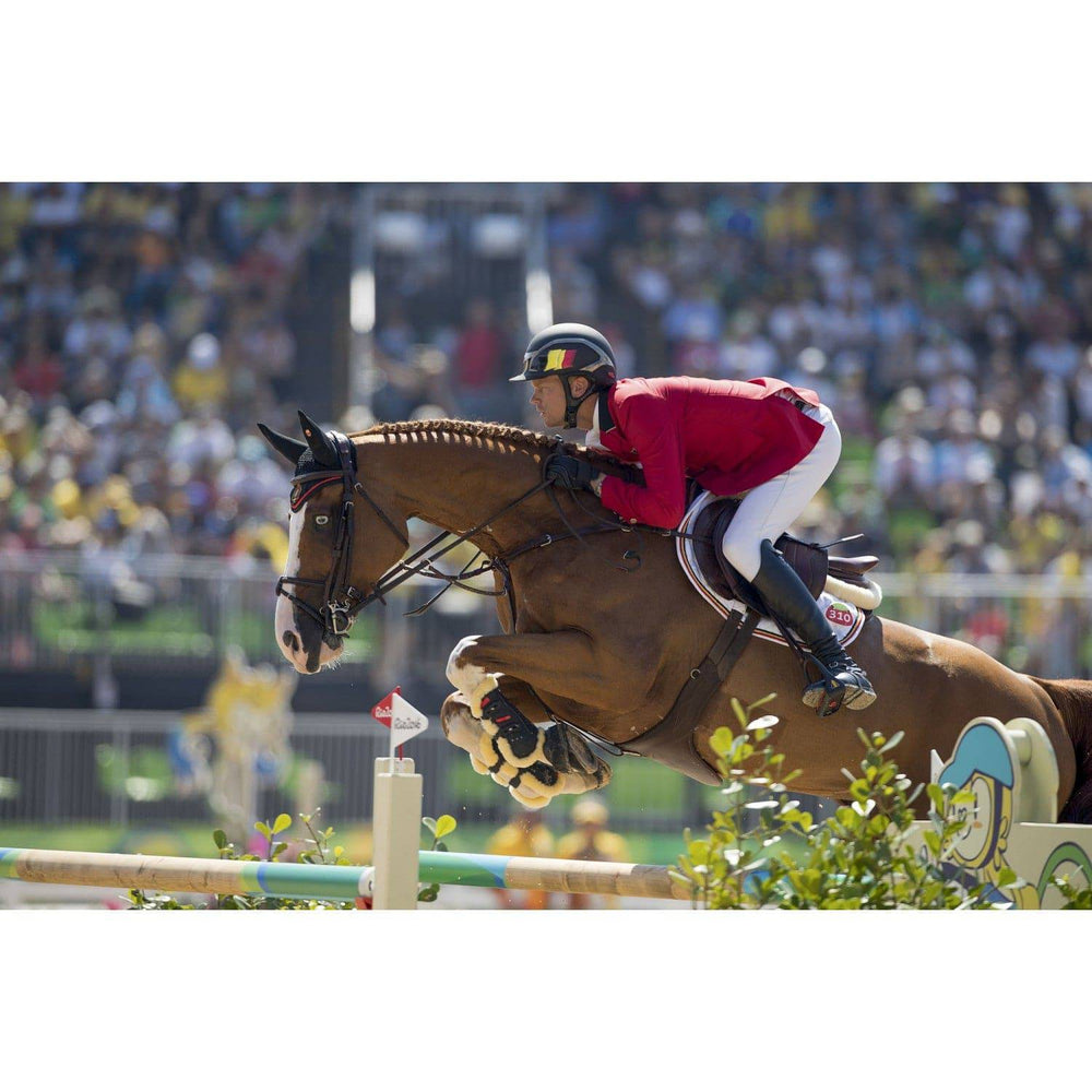 Compositi Reflex Shock Absorbing Stirrups - Equine Exchange Tack Shop