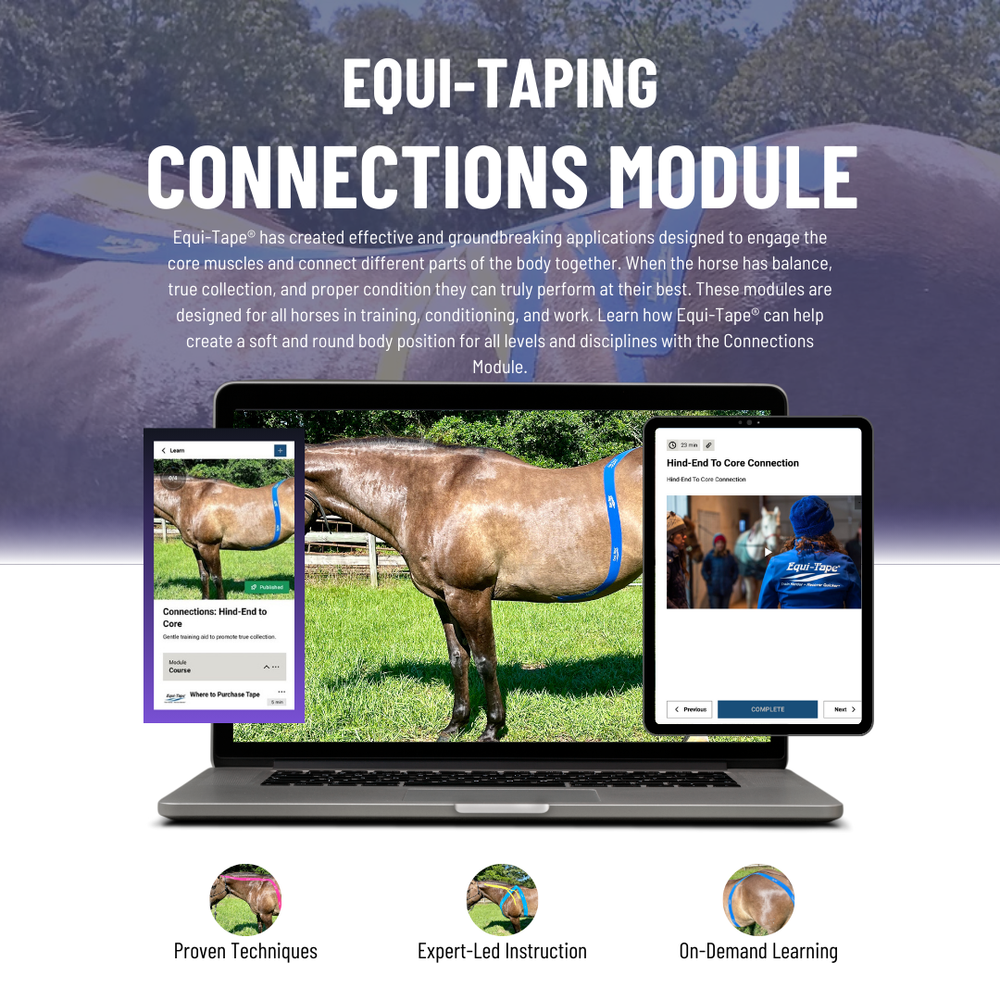 Module: Connections - Equine Exchange Tack Shop
