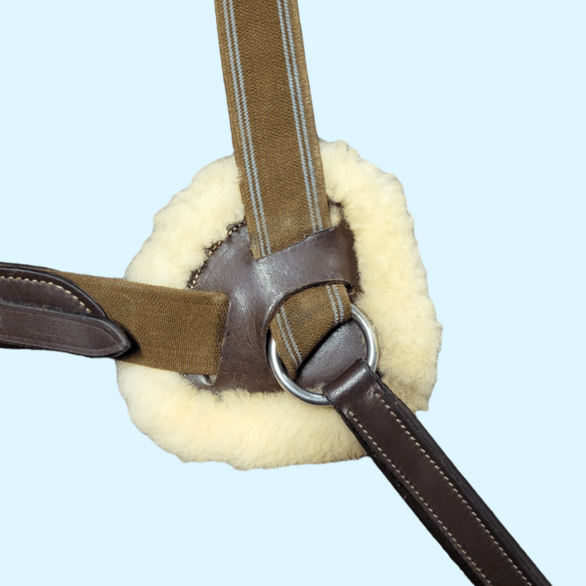 HDR Pro 5 Point Elastic Breastplate in Brown - Cob - Equine Exchange Tack Shop