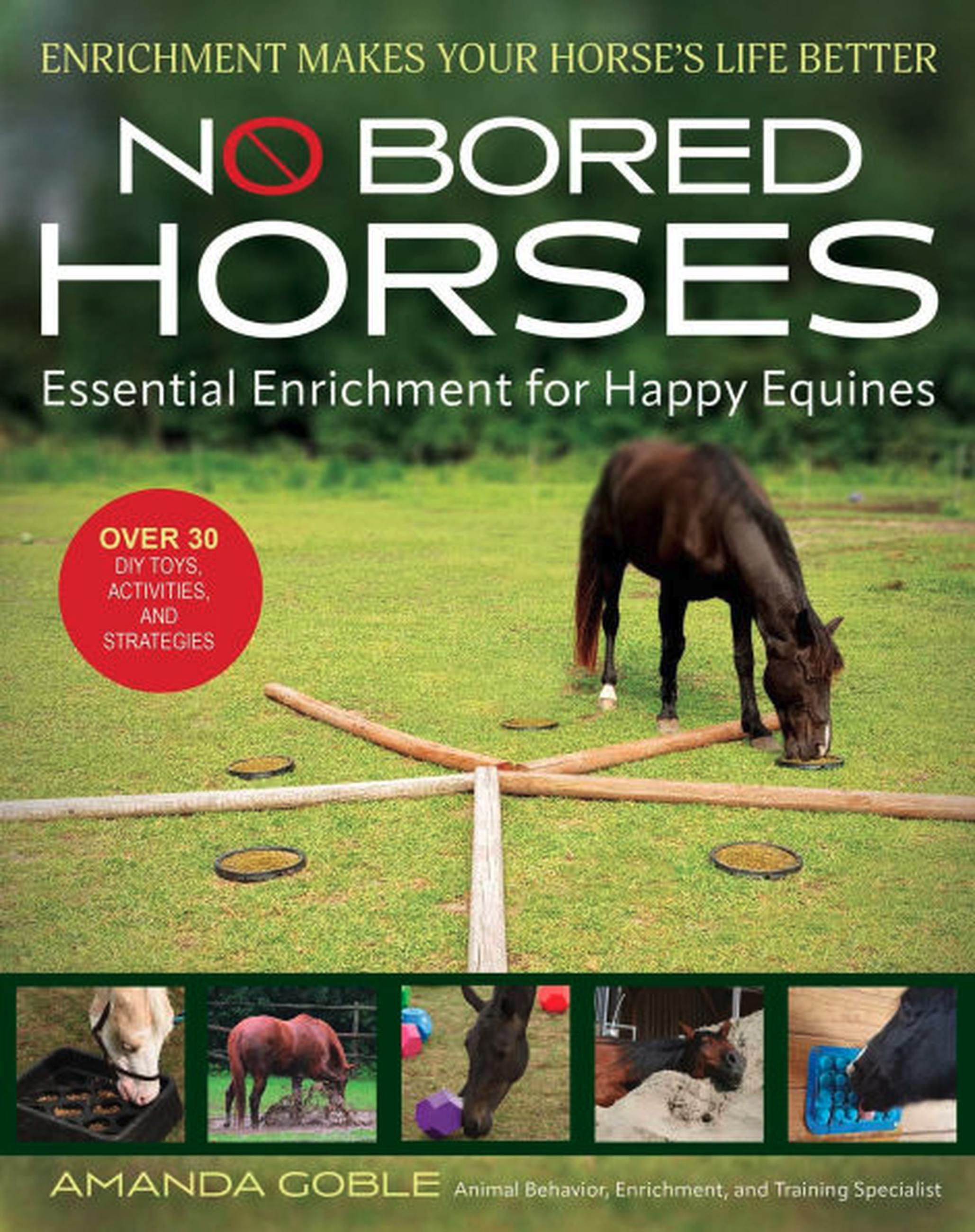 No Bored Horses