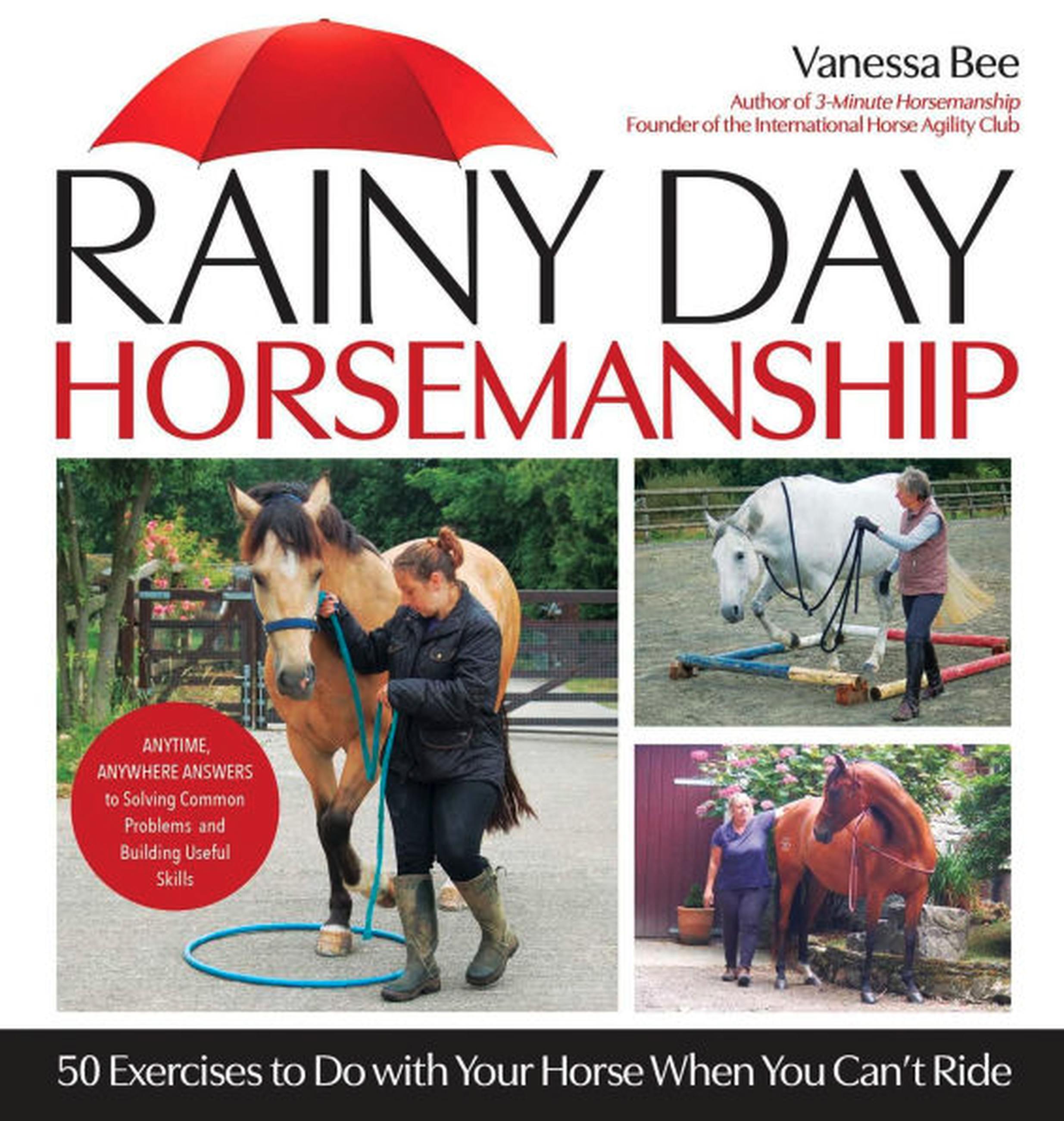 Rainy Day Horsemanship