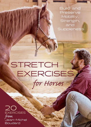 Stretch Exercises for Horses  