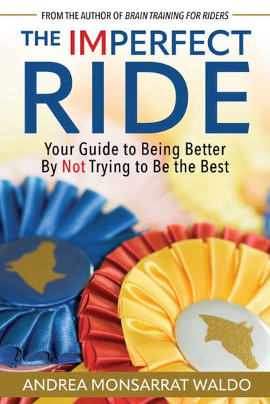 The Imperfect Ride  