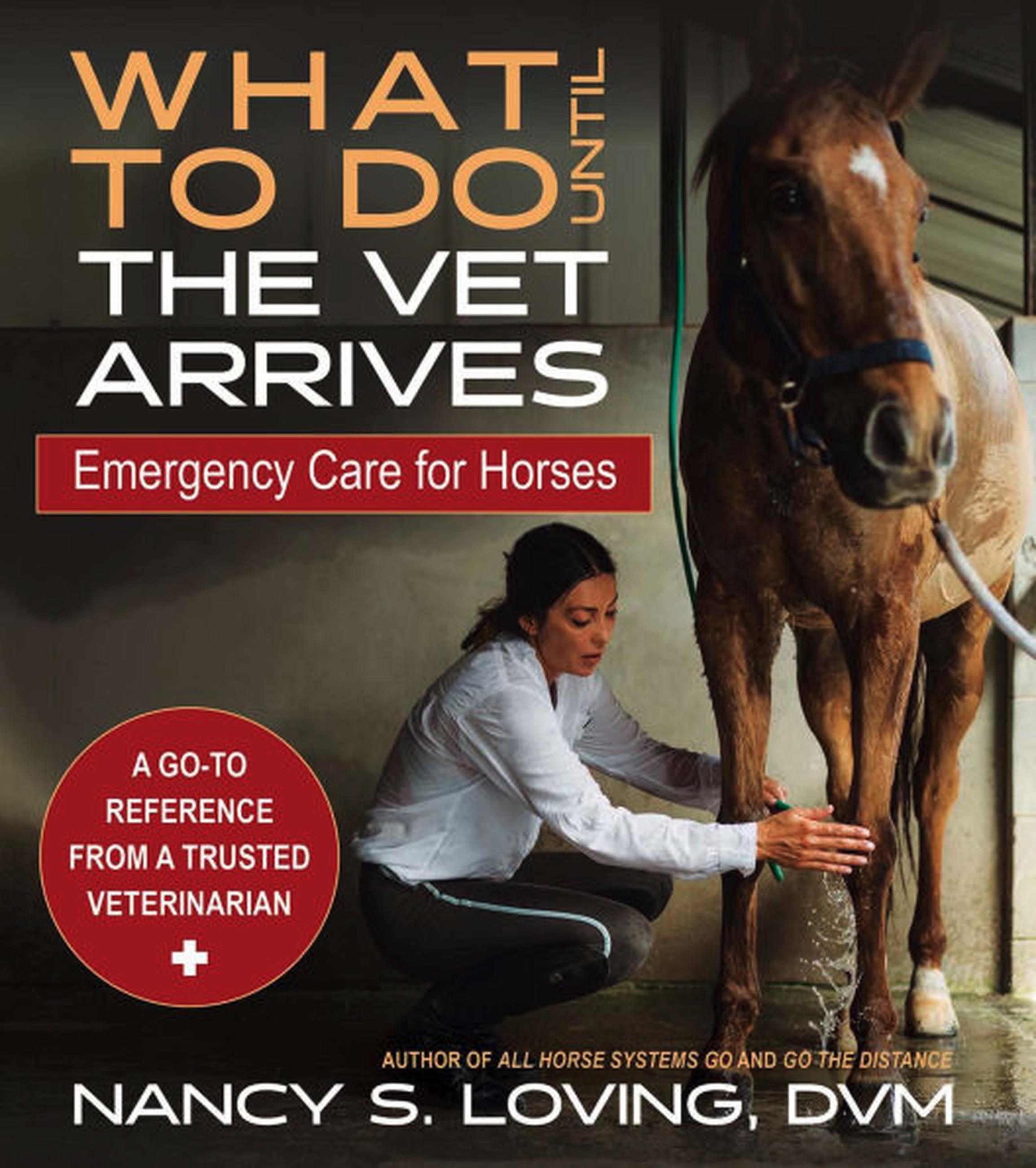 What to Do Until the Vet Arrives