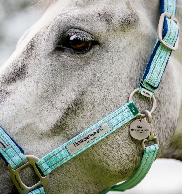 Horseware® Fieldsafe Halter - Equine Exchange Tack Shop