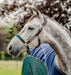 Horseware® Signature Braided Halter - Equine Exchange Tack Shop
