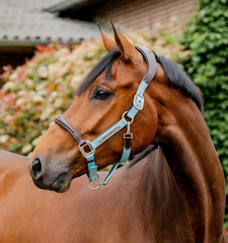 Horseware® Signature Competition Halter - Equine Exchange Tack Shop