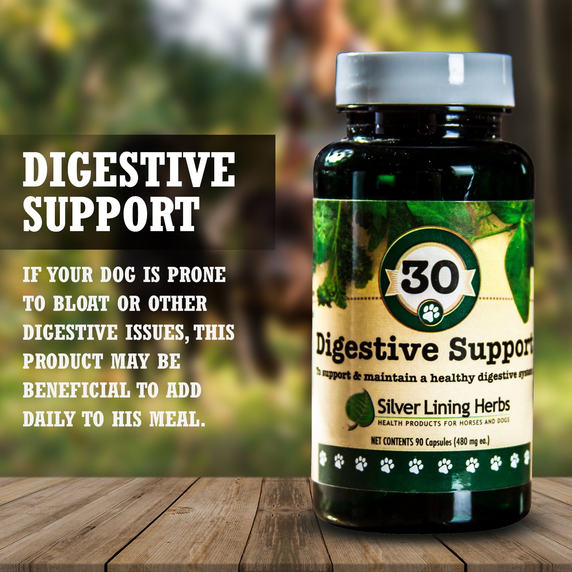 Digestive Support for Canines - Equine Exchange Tack Shop