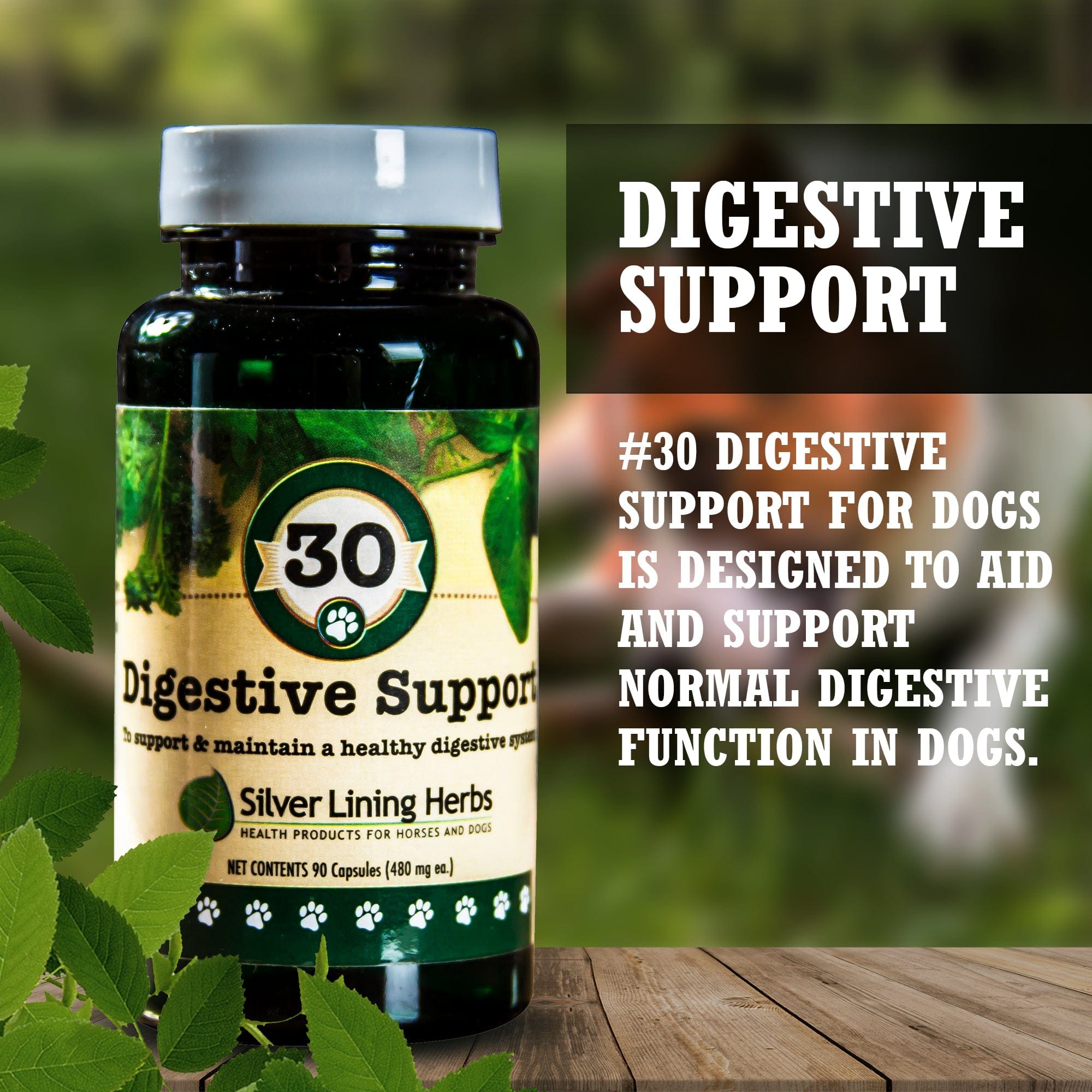 Digestive Support for Canines - Equine Exchange Tack Shop