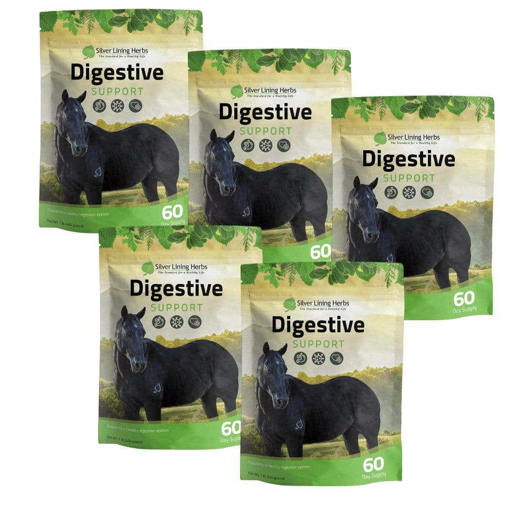Digestive Support for Horses - Equine Exchange Tack Shop