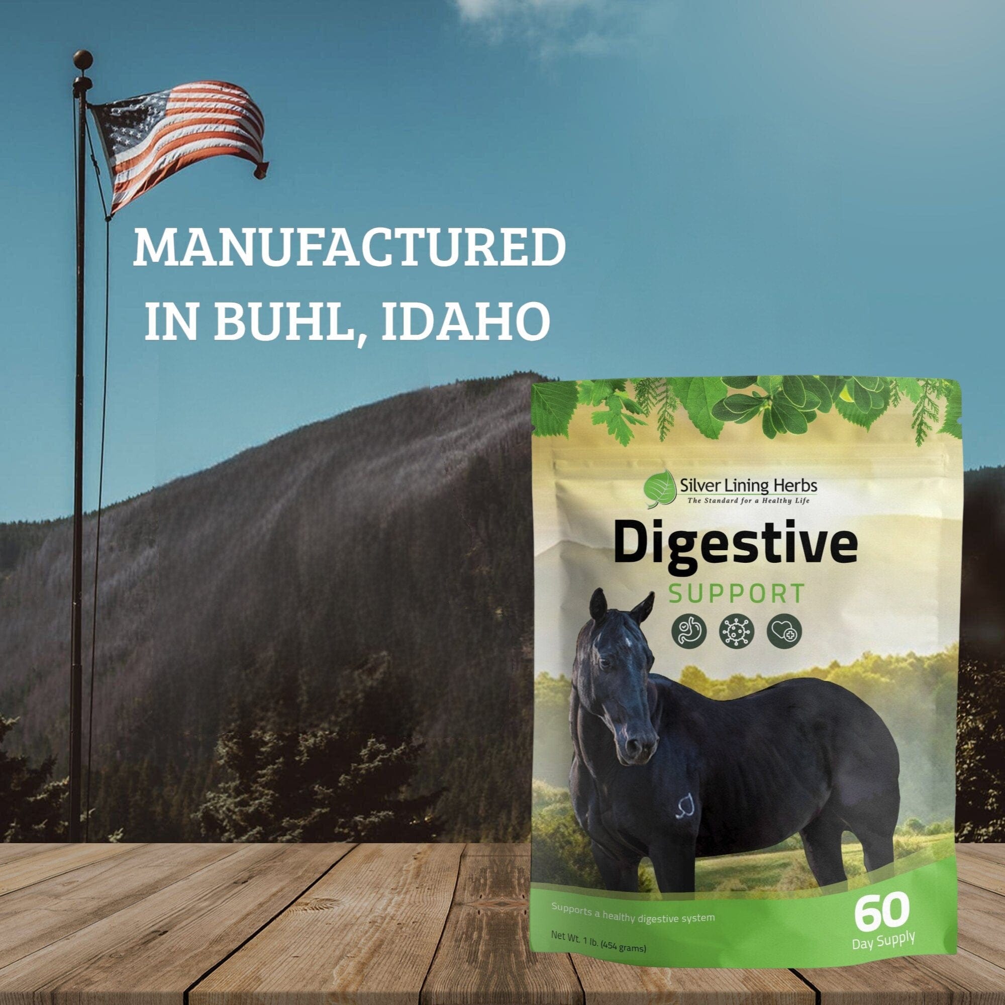 Digestive Support for Horses - Equine Exchange Tack Shop