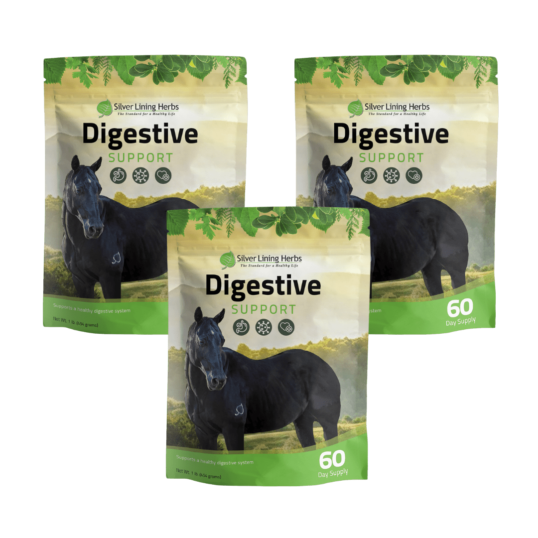 Digestive Support for Horses - Equine Exchange Tack Shop