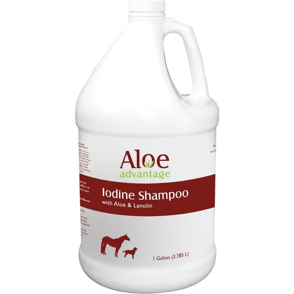 Aloe Advantage Iodine Shampoo - Equine Exchange Tack Shop