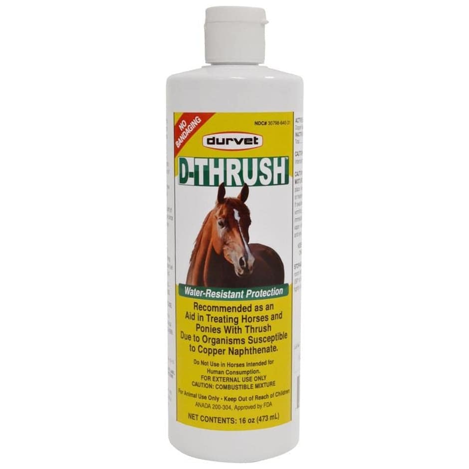 D-Thrush Hoof Treatment - Equine Exchange Tack Shop