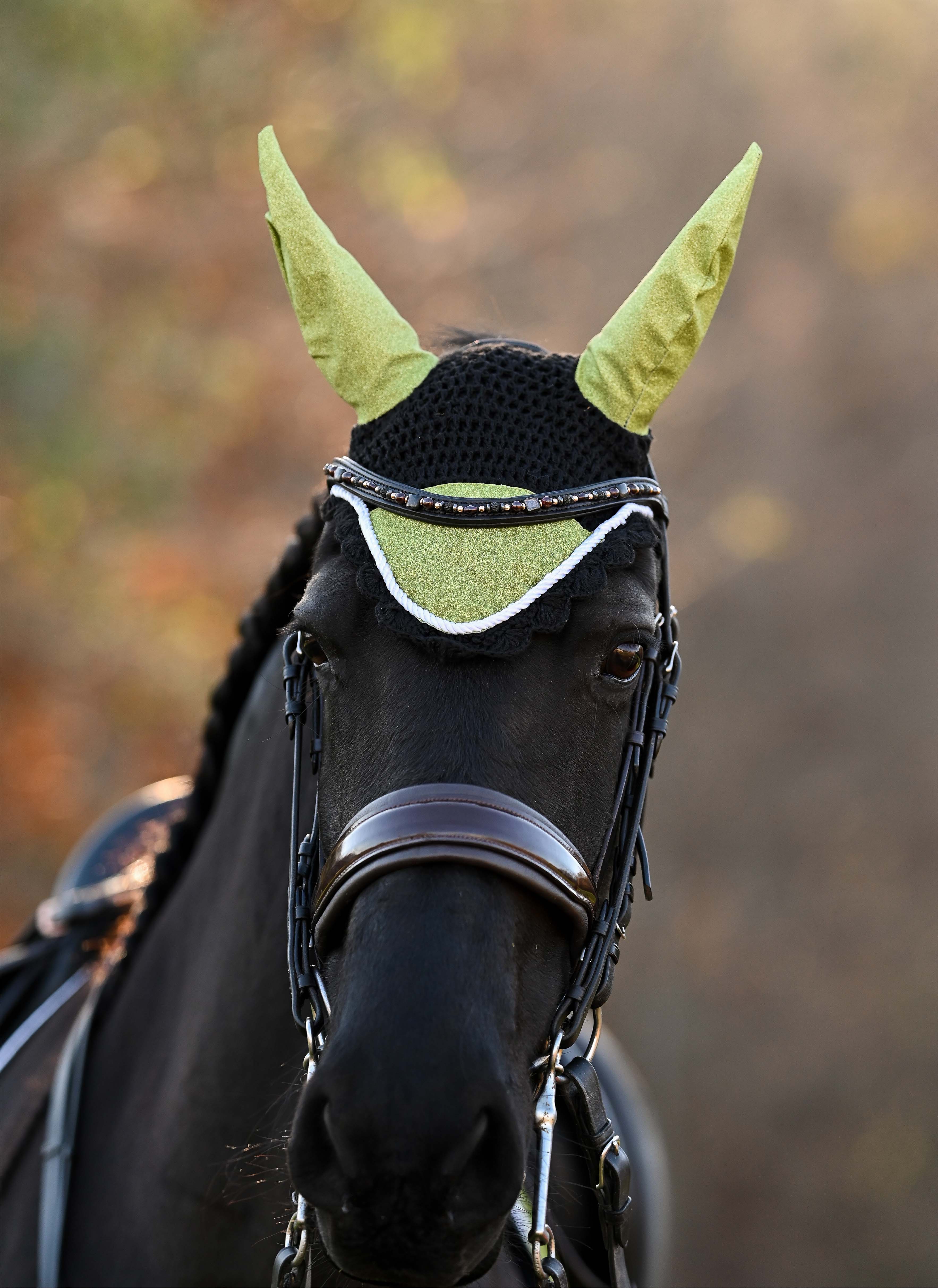Lemongrass Fly Hat - Equine Exchange Tack Shop