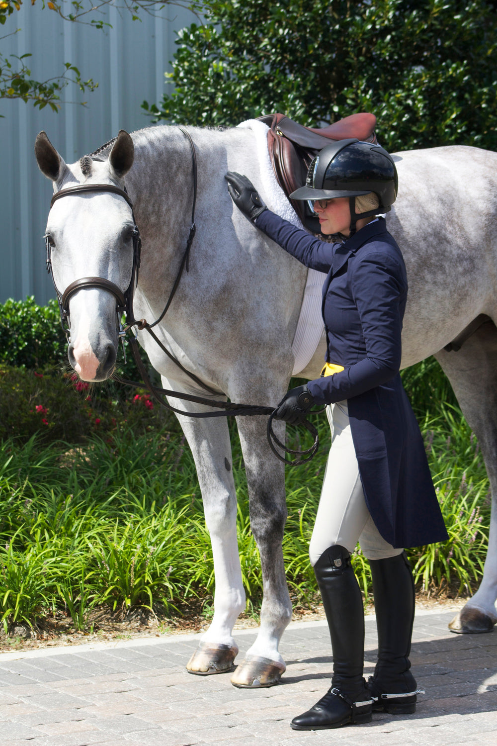 Shadbelly Show Jacket - Equine Exchange Tack Shop