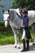 Shadbelly Show Jacket - Equine Exchange Tack Shop