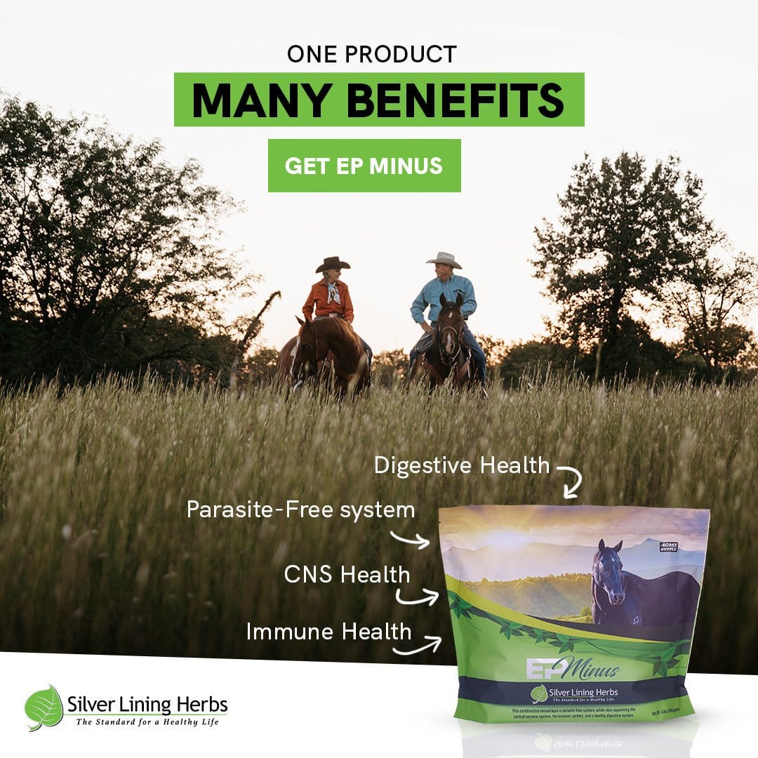 EP Minus For Horses - Equine Exchange Tack Shop