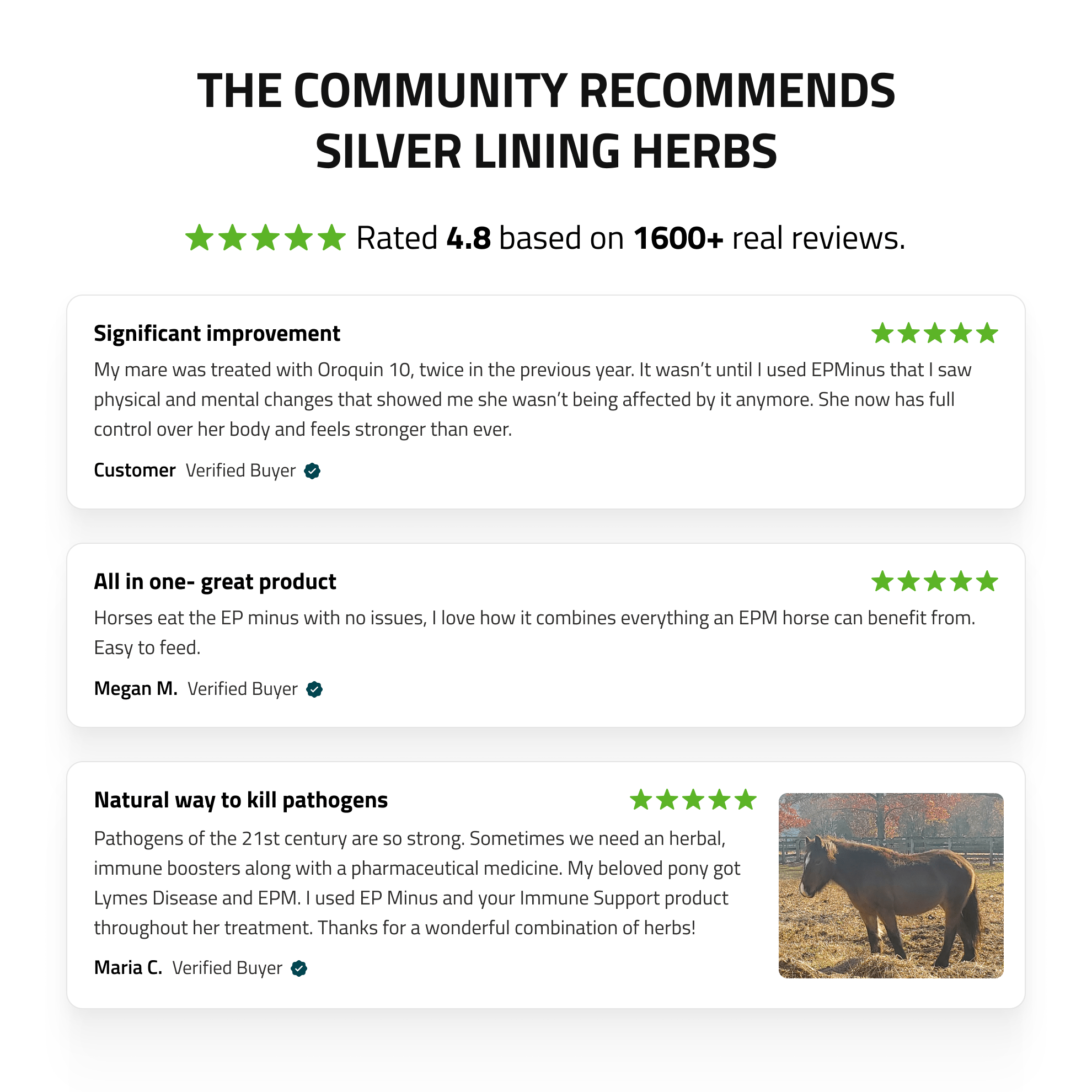 EP Minus For Horses - Equine Exchange Tack Shop