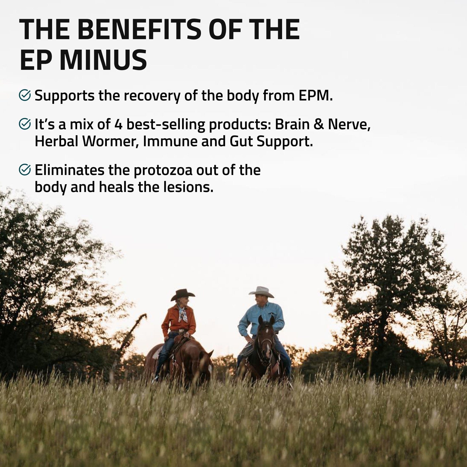 EP Minus For Horses - Equine Exchange Tack Shop