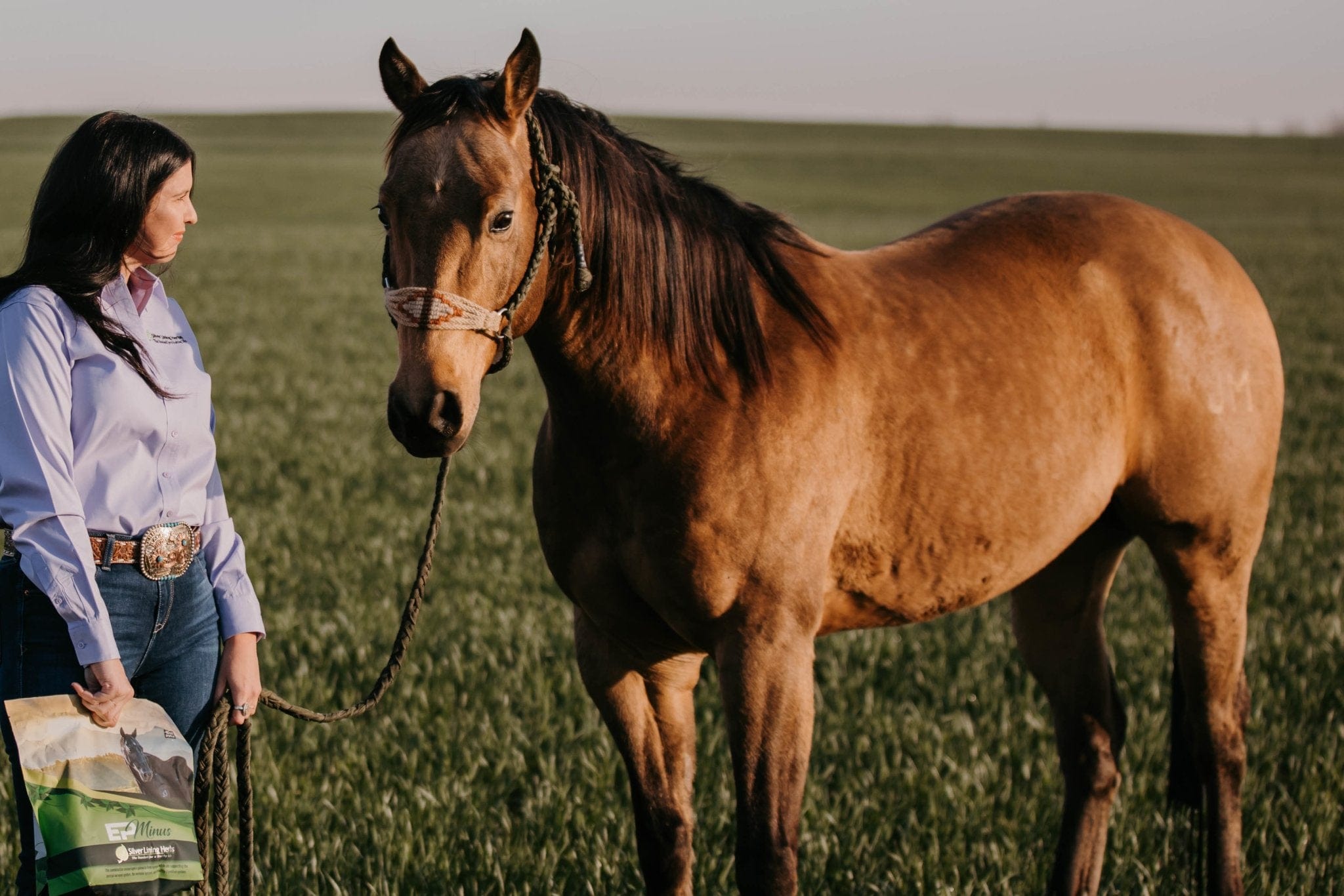 EP Minus For Horses - Equine Exchange Tack Shop