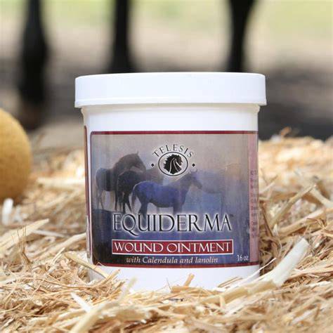 Equiderma Wound Ointment - 16oz - Equine Exchange Tack Shop