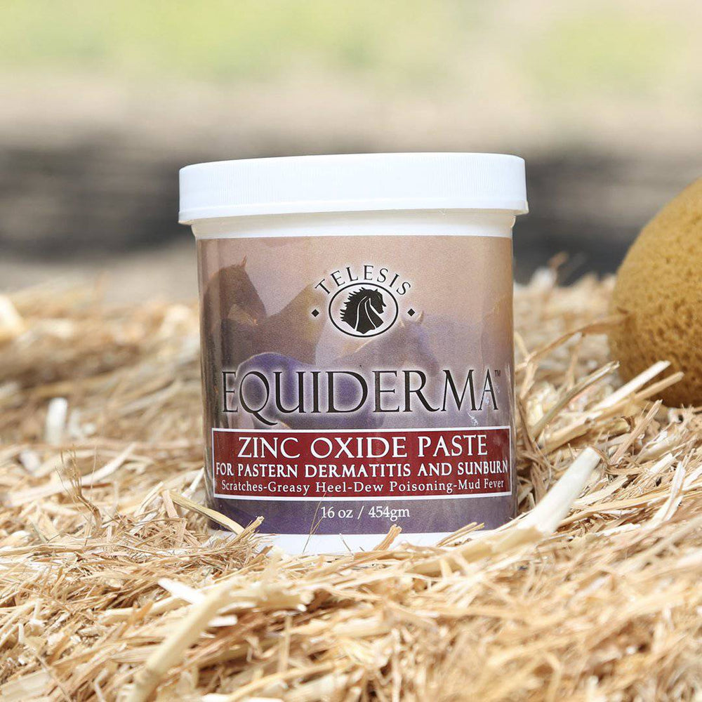 Equiderma Zinc Paste - 16oz - Equine Exchange Tack Shop